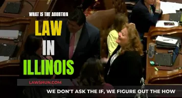 Illinois Abortion Laws: What You Need to Know