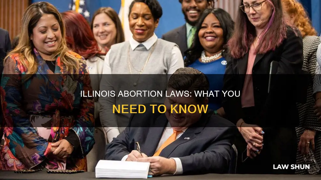 what is the abortion law in illinois