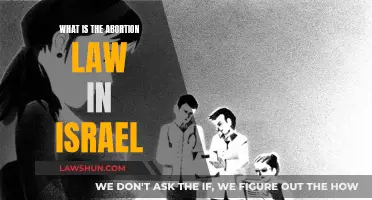 Abortion Law in Israel: Understanding the Complex Legal Landscape