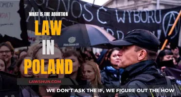 Poland's Abortion Law: Understanding the Strict Restrictions