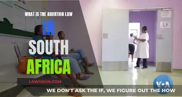 South Africa's Abortion Law: A Comprehensive Overview