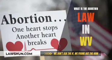 Understanding West Virginia's Abortion Laws and Their Implications