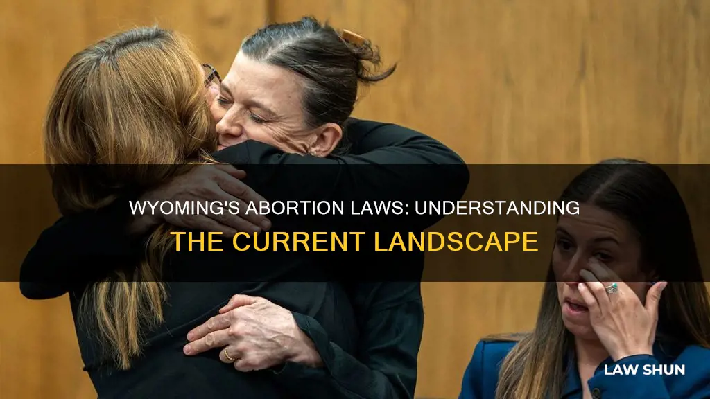 what is the abortion law in wyoming