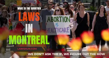 Montreal's Abortion Laws: Understanding the Legal Landscape