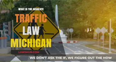 Understanding Michigan's Absolute Traffic Laws: Rules and Penalties Explained