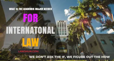Pursuing International Law: Essential Academic Majors for a Global Career