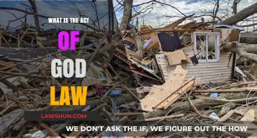 Understanding Act of God Law: Definition, Implications, and Legal Applications