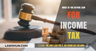 Income Tax Law: Understanding Your Obligations