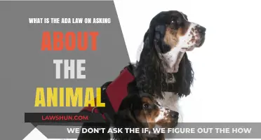 Understanding ADA Rules: Can You Ask About Service Animals?