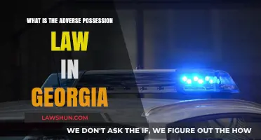 Understanding Georgia's Adverse Possession Law: Key Rules and Requirements