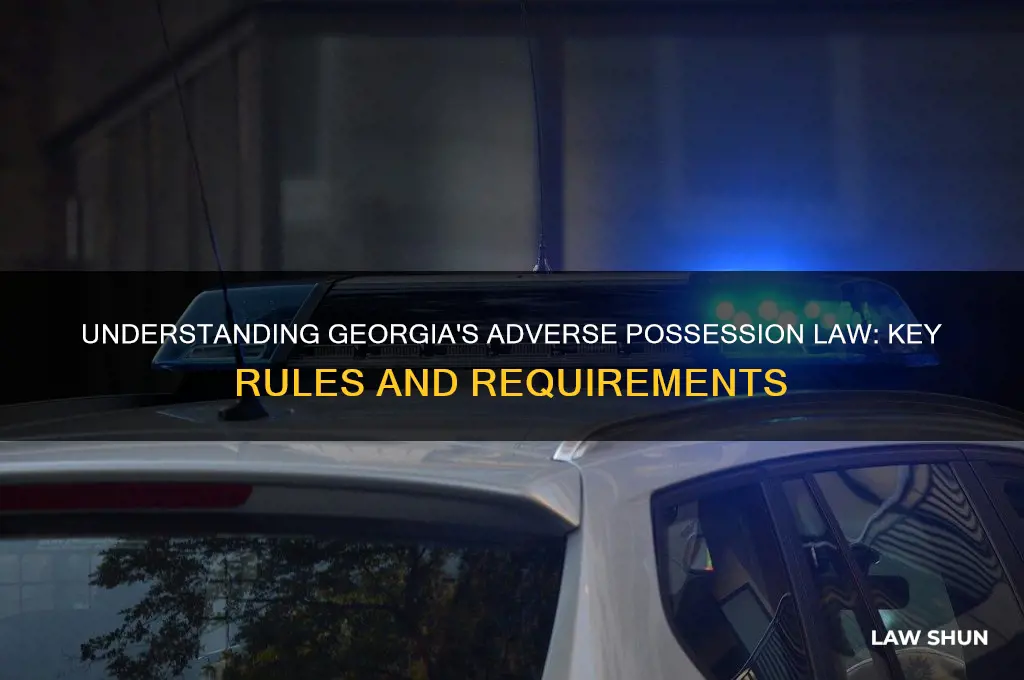 what is the adverse possession law in georgia