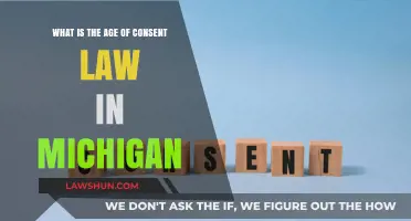 Understanding Michigan's Age of Consent Law: Key Facts and Guidelines