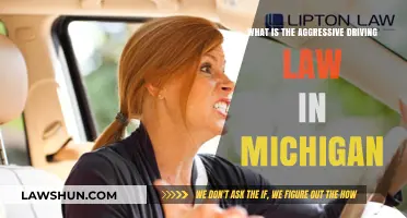 Understanding Michigan's Aggressive Driving Laws: Penalties and Prevention Tips