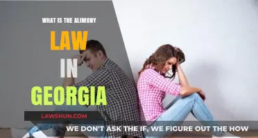 Understanding Georgia's Alimony Laws: Key Guidelines and Requirements Explained