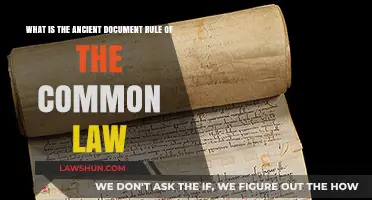 Ancient Document Rule: Common Law's Evidence Standard