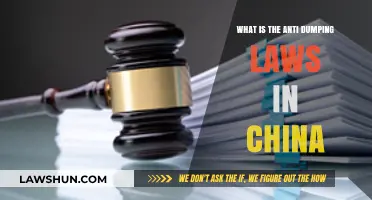 Understanding China's Anti-Dumping Laws: Key Provisions and Implications