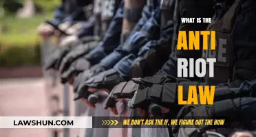 Understanding the Anti-Riot Law: Purpose, Provisions, and Implications
