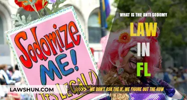 Understanding Florida's Anti-Sodomy Law: History, Impact, and Current Status