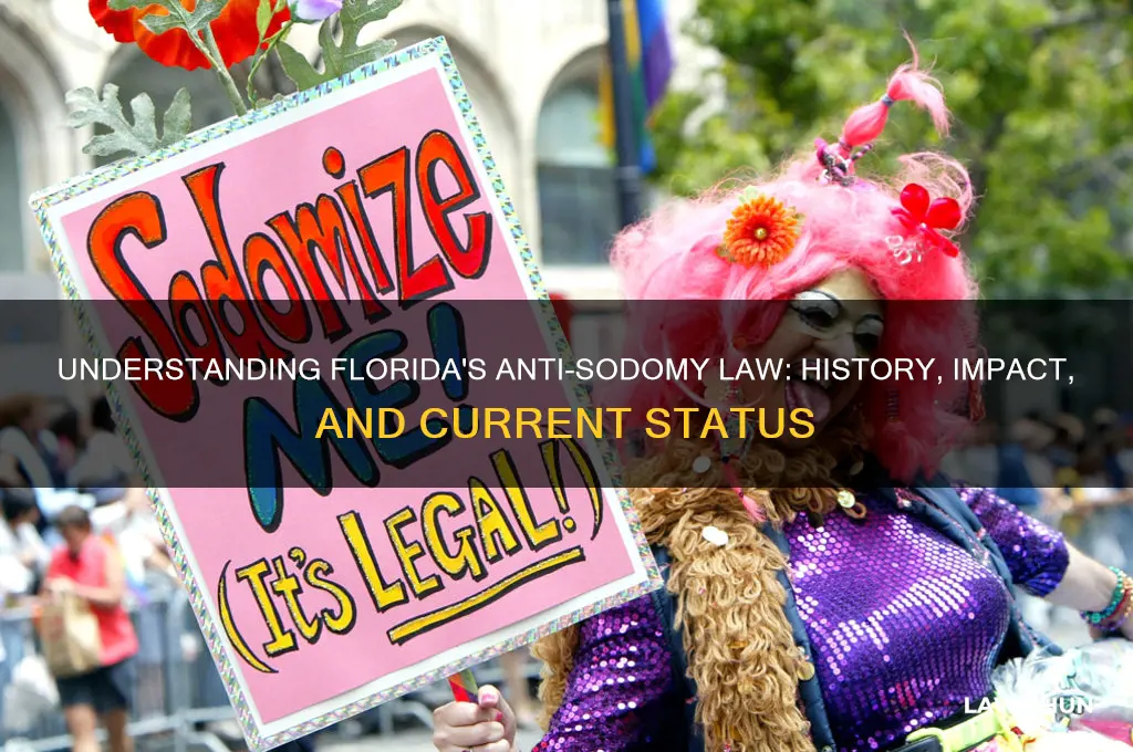 what is the anti sodomy law in fl