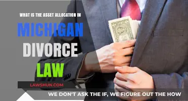 Understanding Asset Allocation in Michigan Divorce Law: A Comprehensive Guide