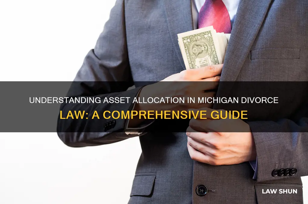 what is the asset allocation in michigan divorce law
