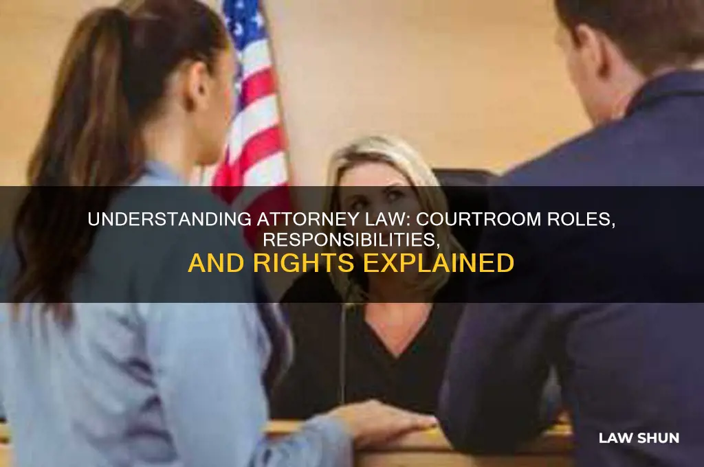 what is the attorney law in court