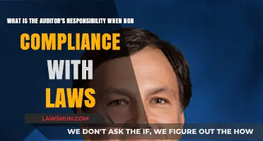 Auditor's Duty: Addressing Non-Compliance with Laws and Regulations