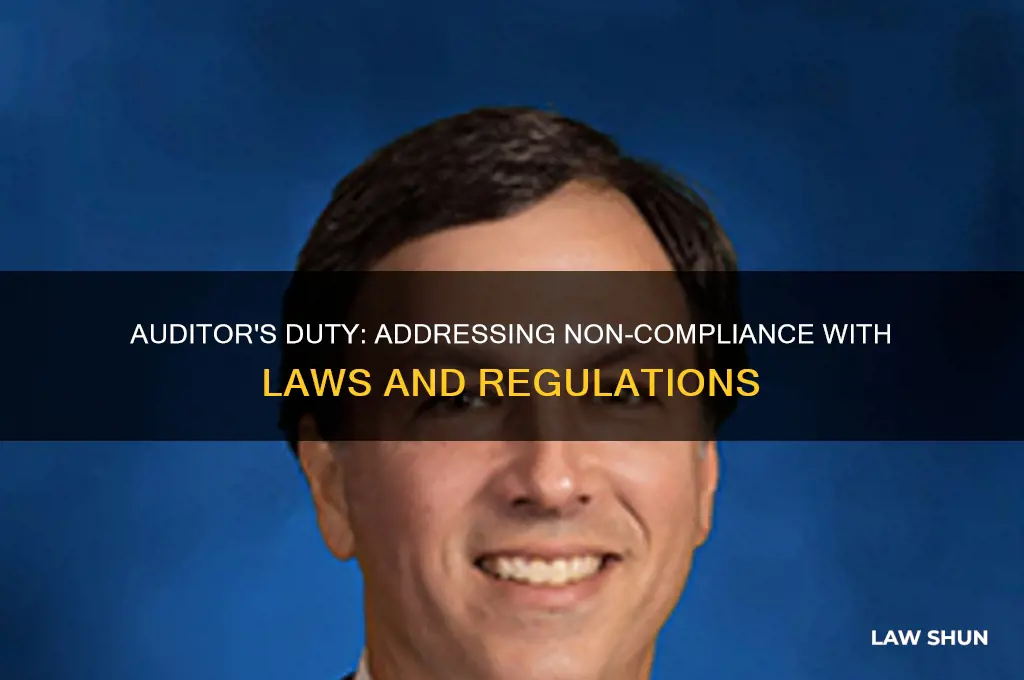 what is the auditor