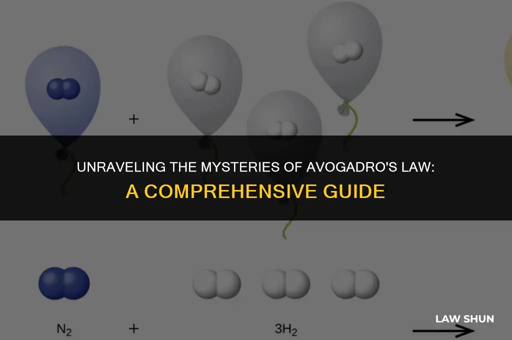 what is the avogadro