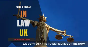Understanding the UK's Legal Profession: What is the Bar?