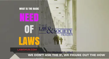 Understanding the Fundamental Purpose and Necessity of Laws in Society