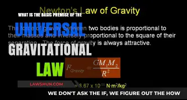 The Law of Gravity: A Universal Attraction