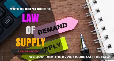 Understanding the Core Principle of the Law of Supply