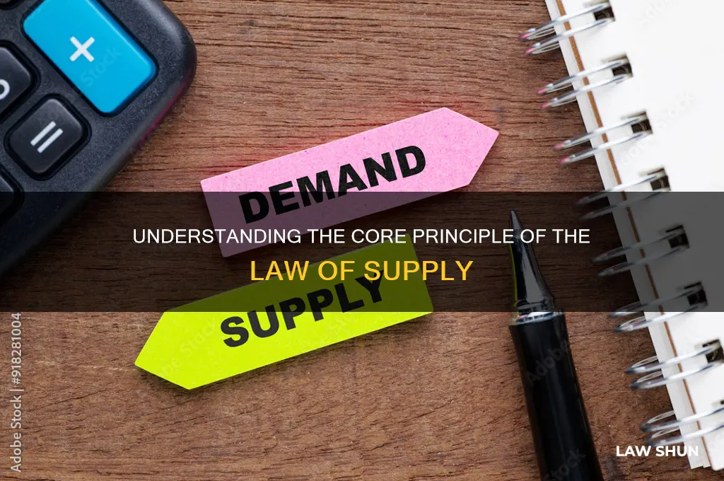 what is the basic princible of the law of supply