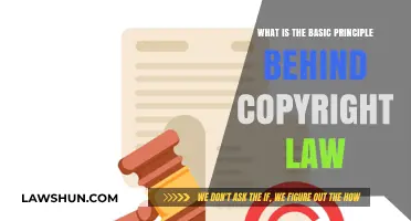 Understanding Copyright Law: Protecting Original Works and Creative Rights