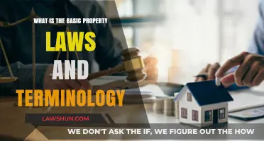 Understanding Property Laws: Essential Terminology and Basic Legal Principles
