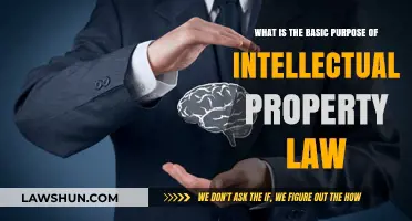 Understanding Intellectual Property Law: Protecting Innovations and Creative Works