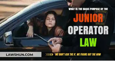 Understanding the Junior Operator Law: Its Core Purpose and Importance