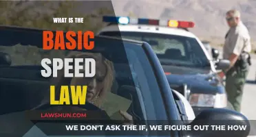 Understanding the Basic Speed Law: A Comprehensive Guide