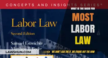 Understanding the Core Principles Behind Most Labor Law Foundations
