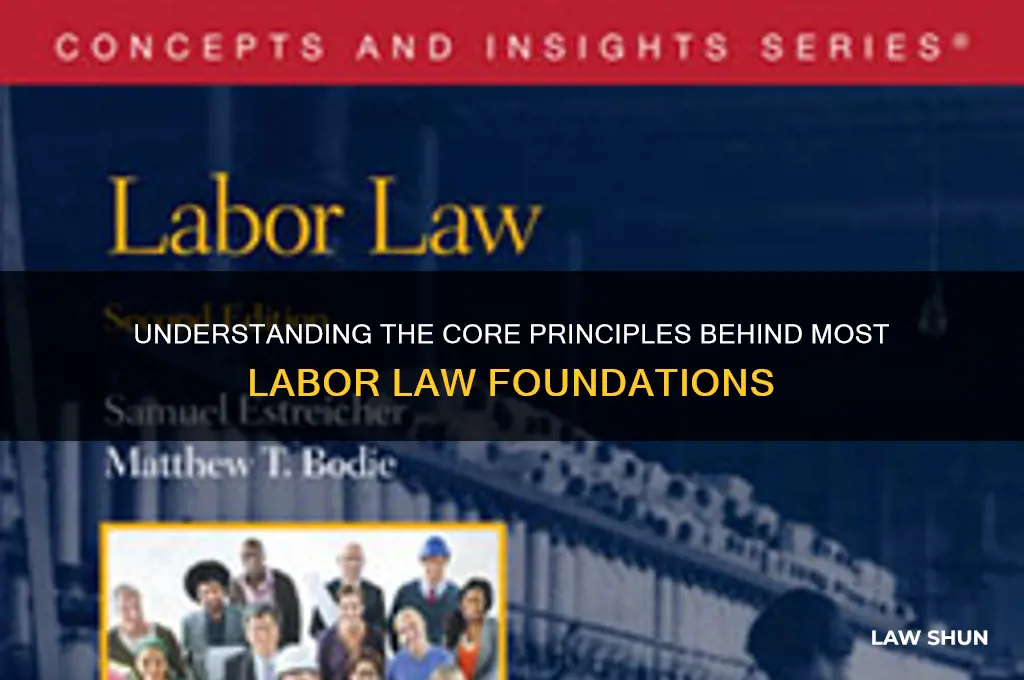 what is the basis for most labor law