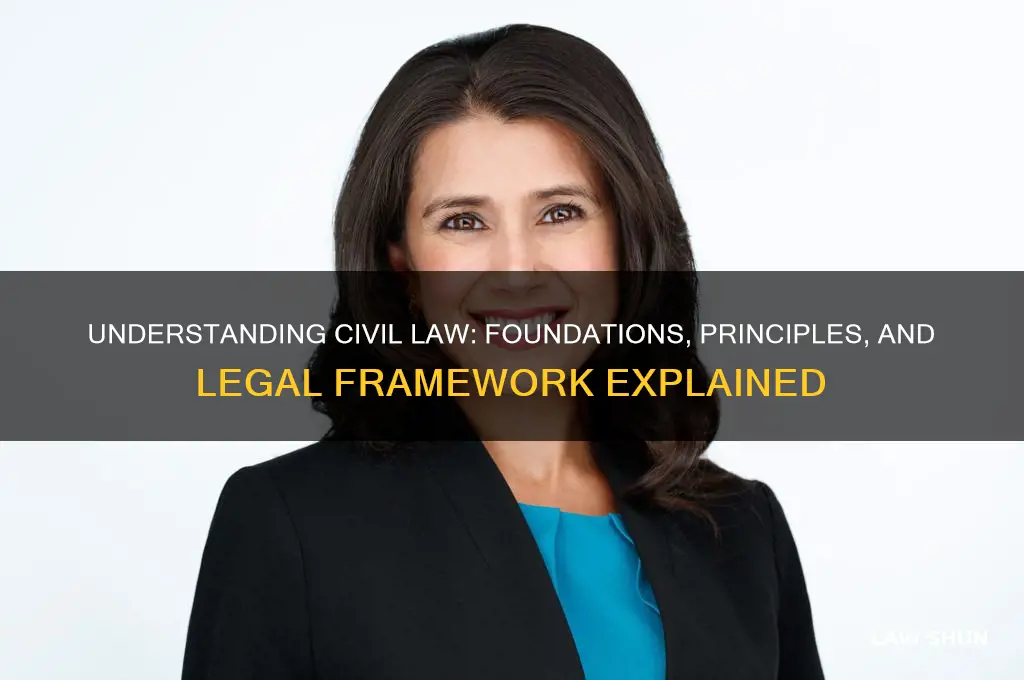 what is the basis of civil law