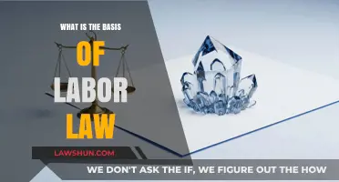 Understanding the Foundation: Exploring the Core Principles of Labor Law