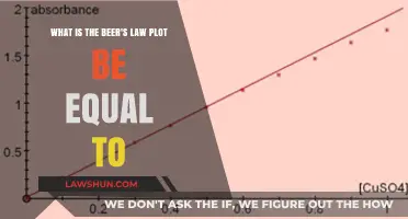 Understanding Beer's Law Plot: What Does It Equal?