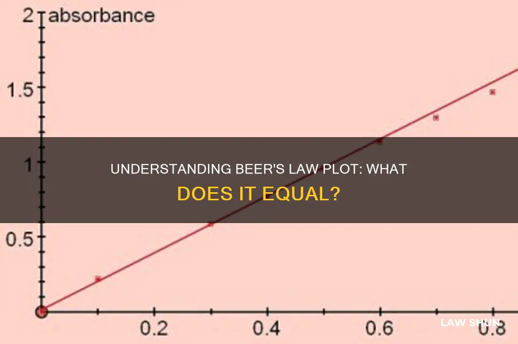 what is the beer