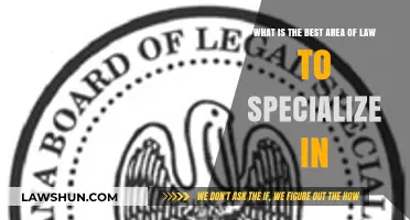 Choosing Your Legal Niche: Top Areas of Law to Specialize In