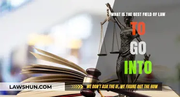 Choosing Your Legal Path: Top Fields of Law to Consider