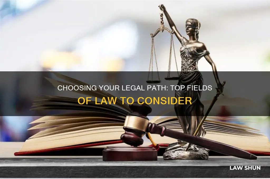 what is the best field of law to go into