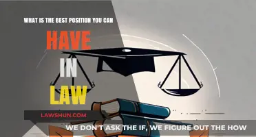 Top Legal Careers: Best Positions in Law