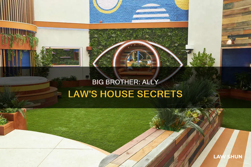 what is the big brother house ally law